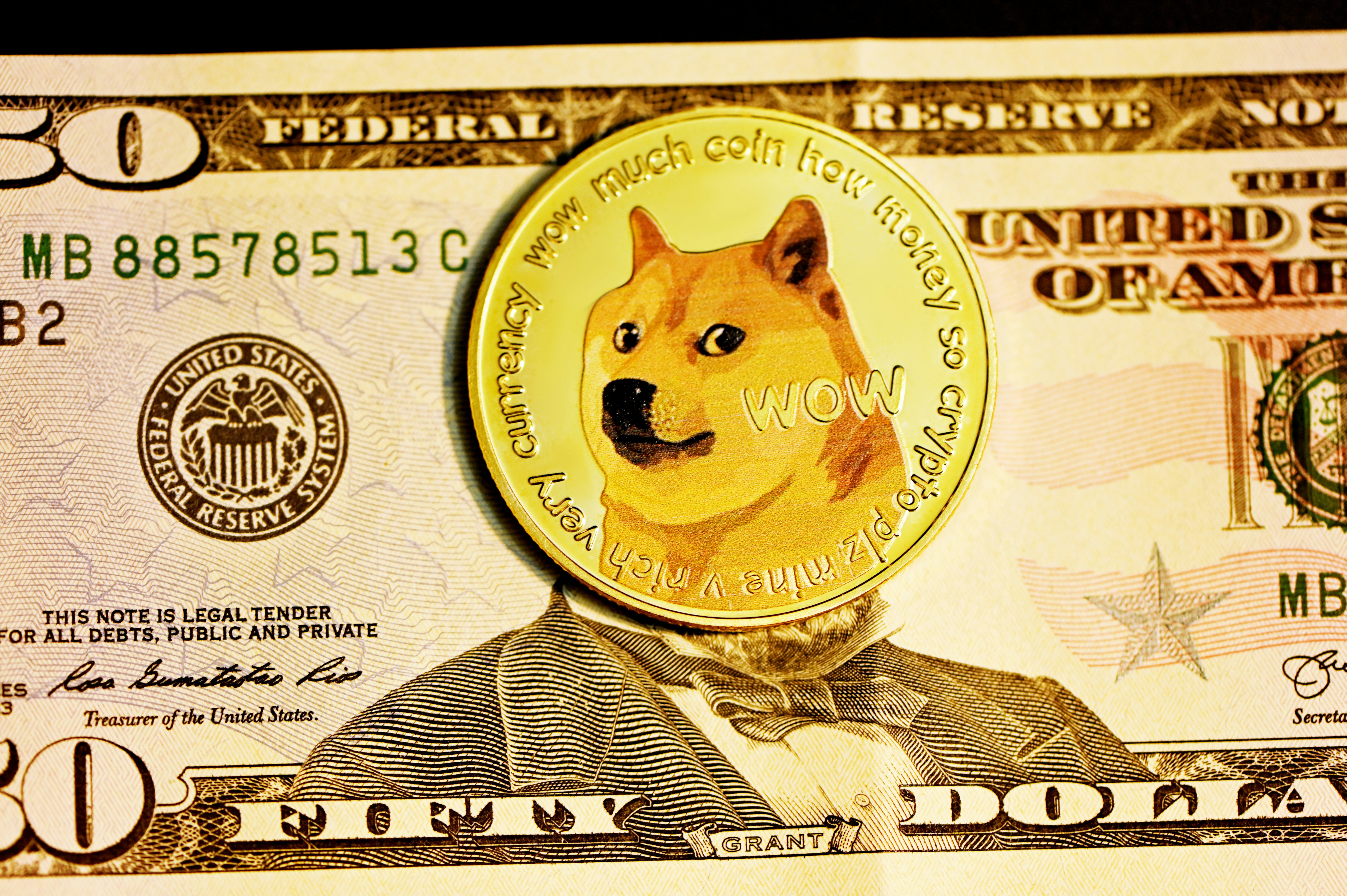 A murit câinele din celebra memă „Doge” și emblema „Dogecoin”. Cum a devenit celebru în toată lumea
