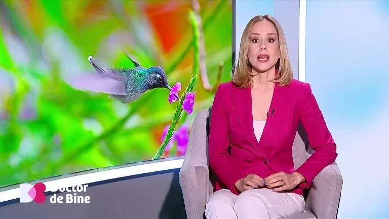 Bacteriile firmicutes, aflate în stomac, ne protejează în perioade de foamete. În ce condiții ajung să fie nocive