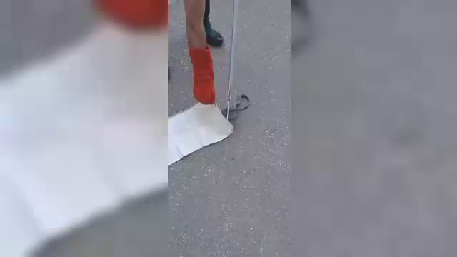 Șerpii au început să apară în zone locuite din România. Salvatorii au intervenit în mai multe cazuri