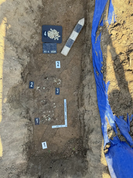 O femeie a găsit o comoară în timp ce era la plimbare. „Una dintre cele mai mari descoperiri din ultimul deceniu” | FOTO