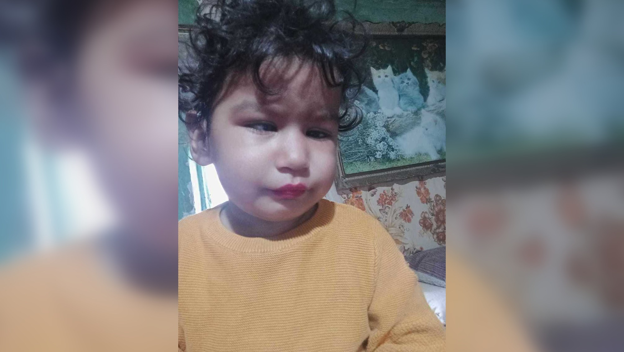 Raisa a dispărut din fața casei și este de negăsit. Peste 100 de oameni o caută pe fetița de 2 ani, în Dolj