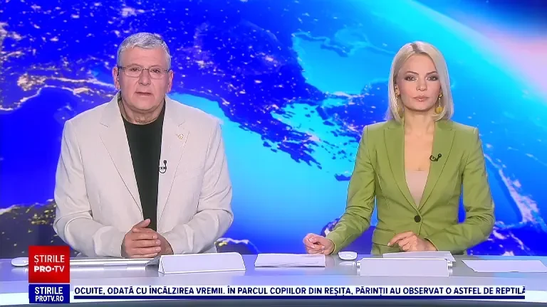 Peste 400 de căței și-au arătat talentele într-un concurs de frumusețe din Cluj-Napoca. Iar cei salvatori s-au întrecut în probe, la Craiova