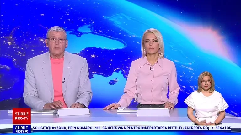 Vânzările slabe i-au forțat pe crescătorii de oi să trimită animalele peste hotare. „La noi mănâncă lumea din supermarket”