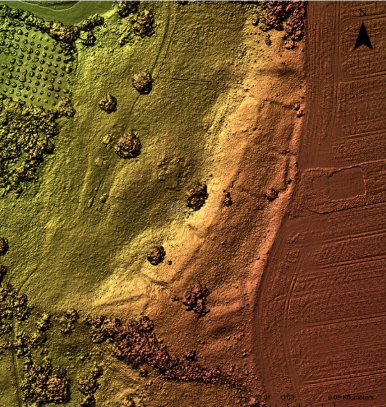 cetatuie misterioasa suceava