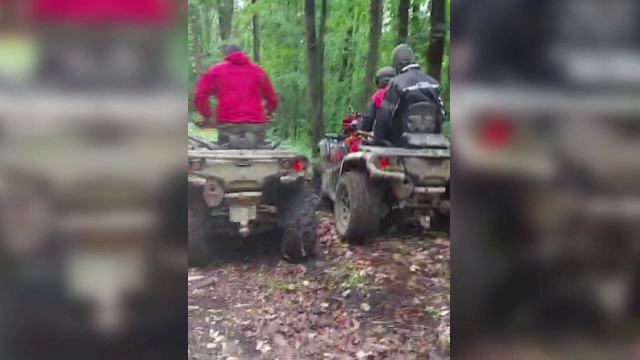 Un pădurar și un paznic dintr-o pădure din Botoșani s-au bătut cu trei tineri mascați care au intrat ilegal în zonă