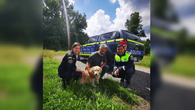 Un câine pierdut în urmă cu doi ani în Timișoara s-a întors la familia sa. Unde a fost găsit de polițiști