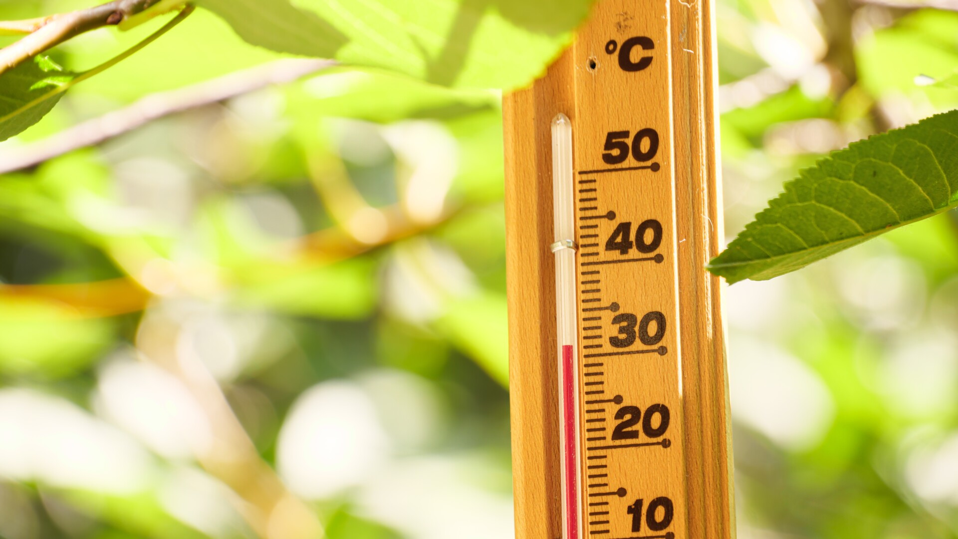 Cum va fi vremea până la jumătatea lunii septembrie. Meteorologii au emis prognoza pentru următoarele patru săptămâni