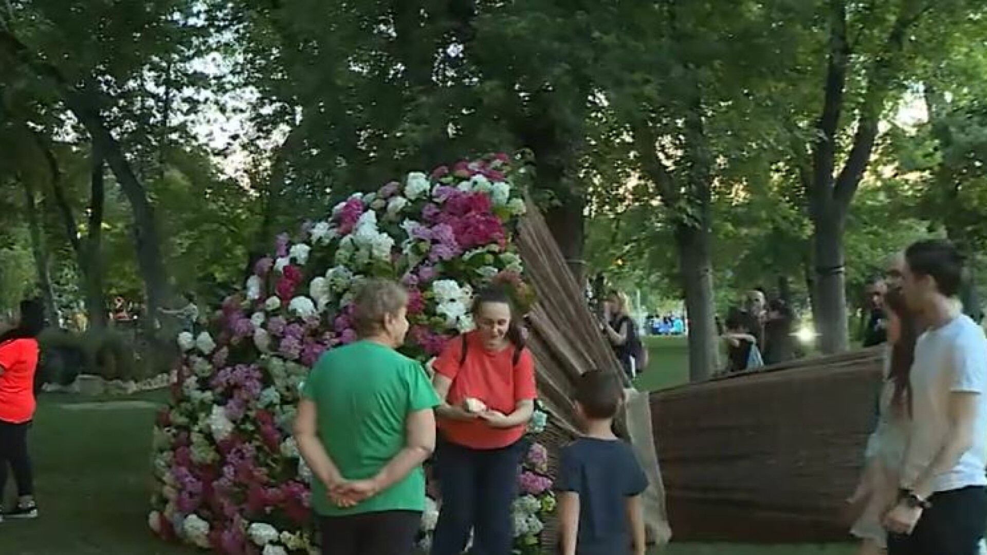 Hortensia cu 2.000 de fire a fost vedeta festivalului de florin din Drumul Taberei. „Mi se pare extraordinar”