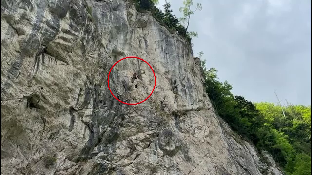 Exercițiu unic al Salvamontului. Cum au salvat o presupusă victimă de pe un perete stâncos de 100 de metri