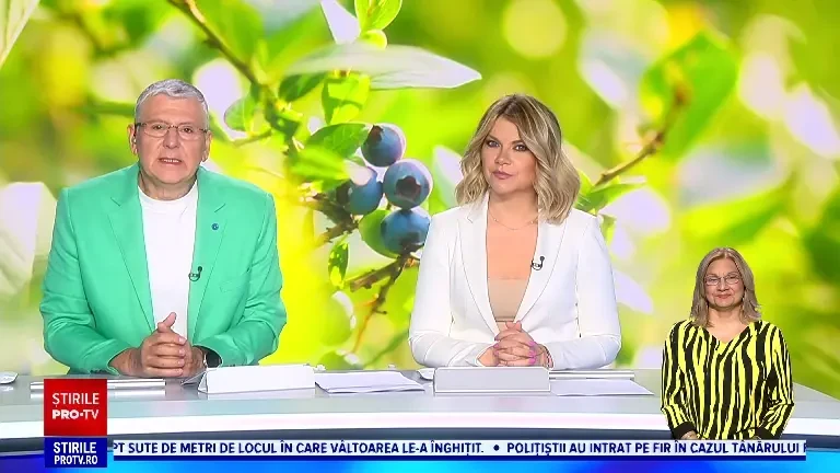 Afinele s-au copt cu trei săptămâni mai devreme. Cu ce preț la vor putea cumpăra românii