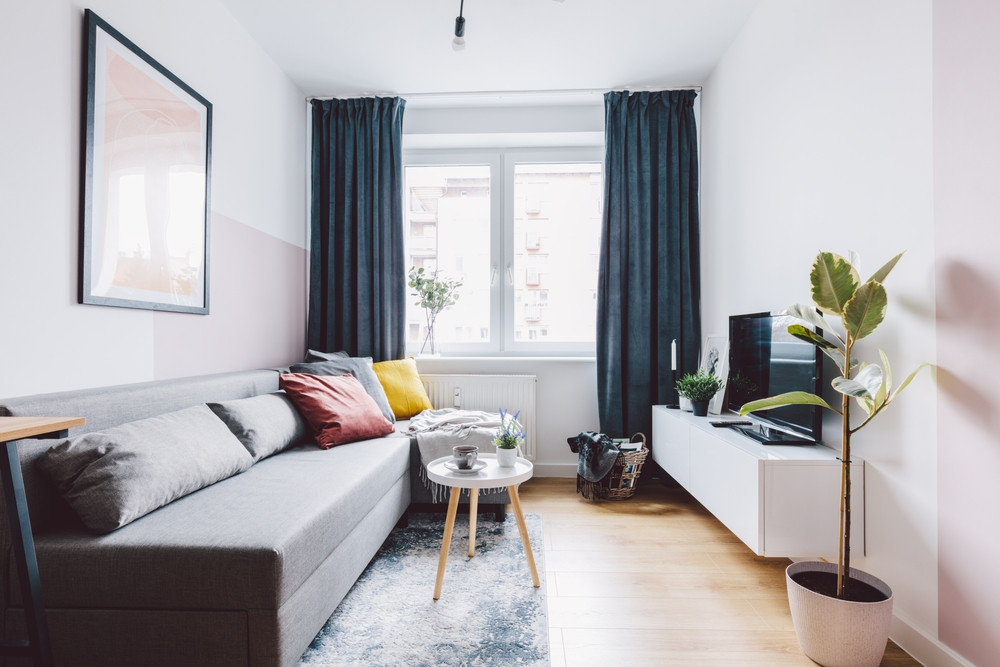 Doi bărbați au închiriat un apartament în Baia Sprie și au pornit o afacere ilegală în el. Au fost arestați imediat. VIDEO