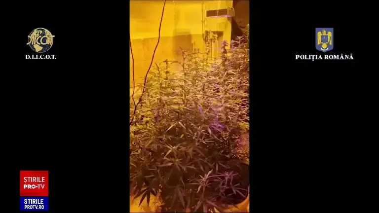 Doi bărbați au închiriat un apartament și au pornit o afacere ilegală în el. Au fost arestați când s-a aflat totul. VIDEO