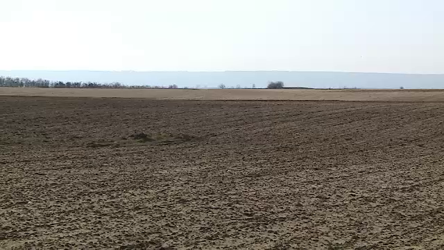 Despăgubiri pentru secetă acordate fermierilor, între 200-250 de euro la hectar. Când vin banii