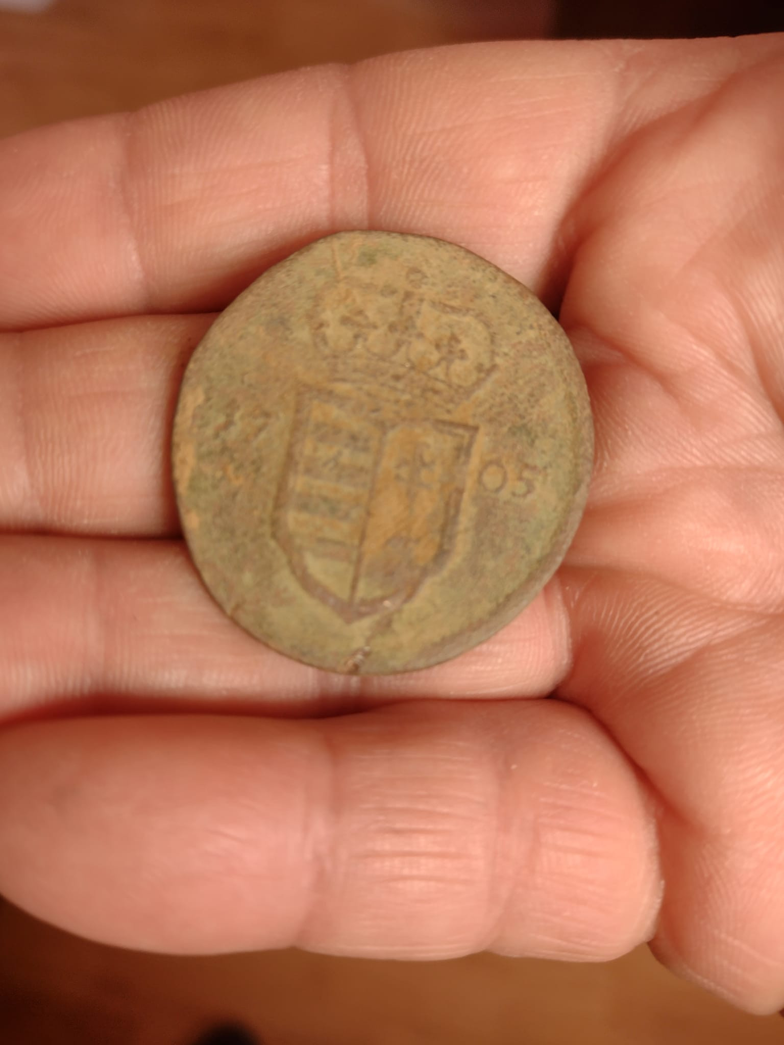 Un vânător de comori a făcut o descoperire neașteptată cu detectorul de metale. Ce a găsit pe un deal din Bihor. FOTO