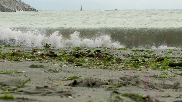 Alertă în Constanța. Ce s-a descoperit în apa Mării Negre