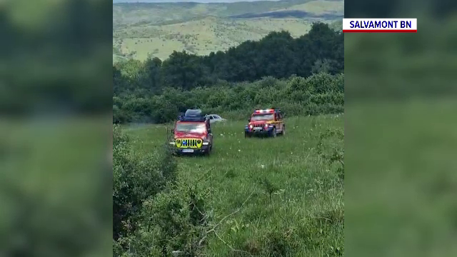 Un tânăr din Bistrița-Năsăud a fost atacat de un roi de viespi în pădure și a sunat la 112. Salvatorii l-au găsit în șoc