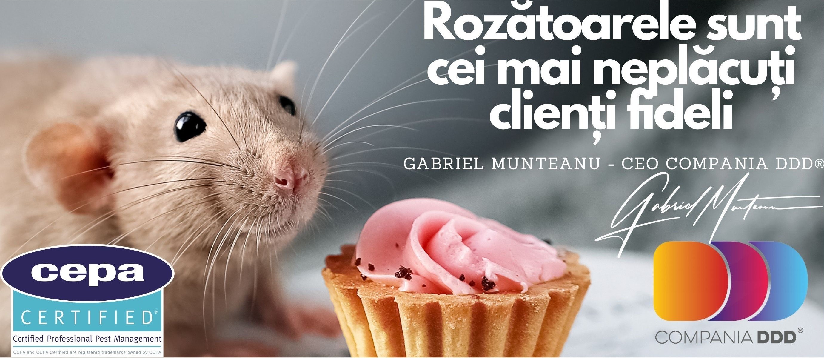 (P) Centrele logistice și fabricile ce exportă către UE solicită din ce în ce mai mult servicii de deratizare și dezinsecție