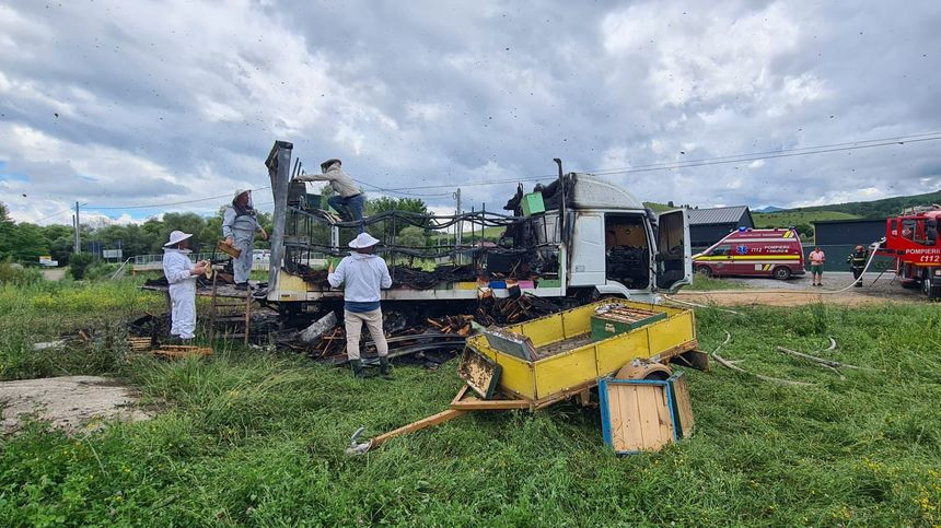 Un camion plin cu stupi a fost cuprins de flăcări, în Cluj. Intervenţia pompierilor, dificilă | FOTO