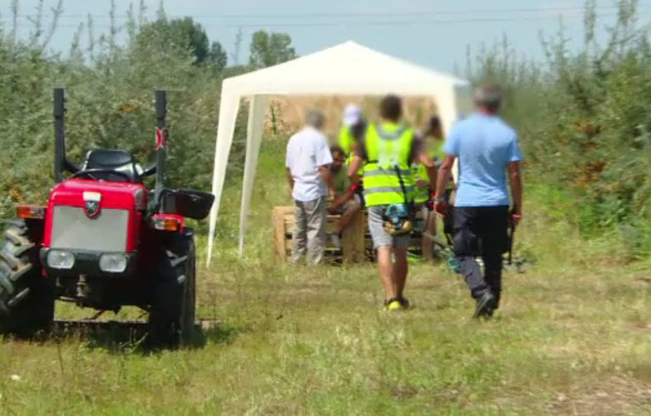 Job-ul plătit cu 300 de lei/zi de care fug mulți români. Patronii au ajuns să aducă oameni din străinătate