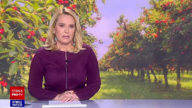 Job-ul plătit cu 300 de lei de care fug mulți români. Patronii au ajuns să aducă oameni din străinătate