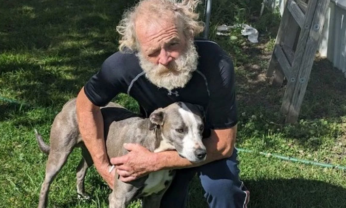 Cum a reușit un câine să salveze viața stăpânului său. Bărbatul căzuse cu mașina într-o râpă