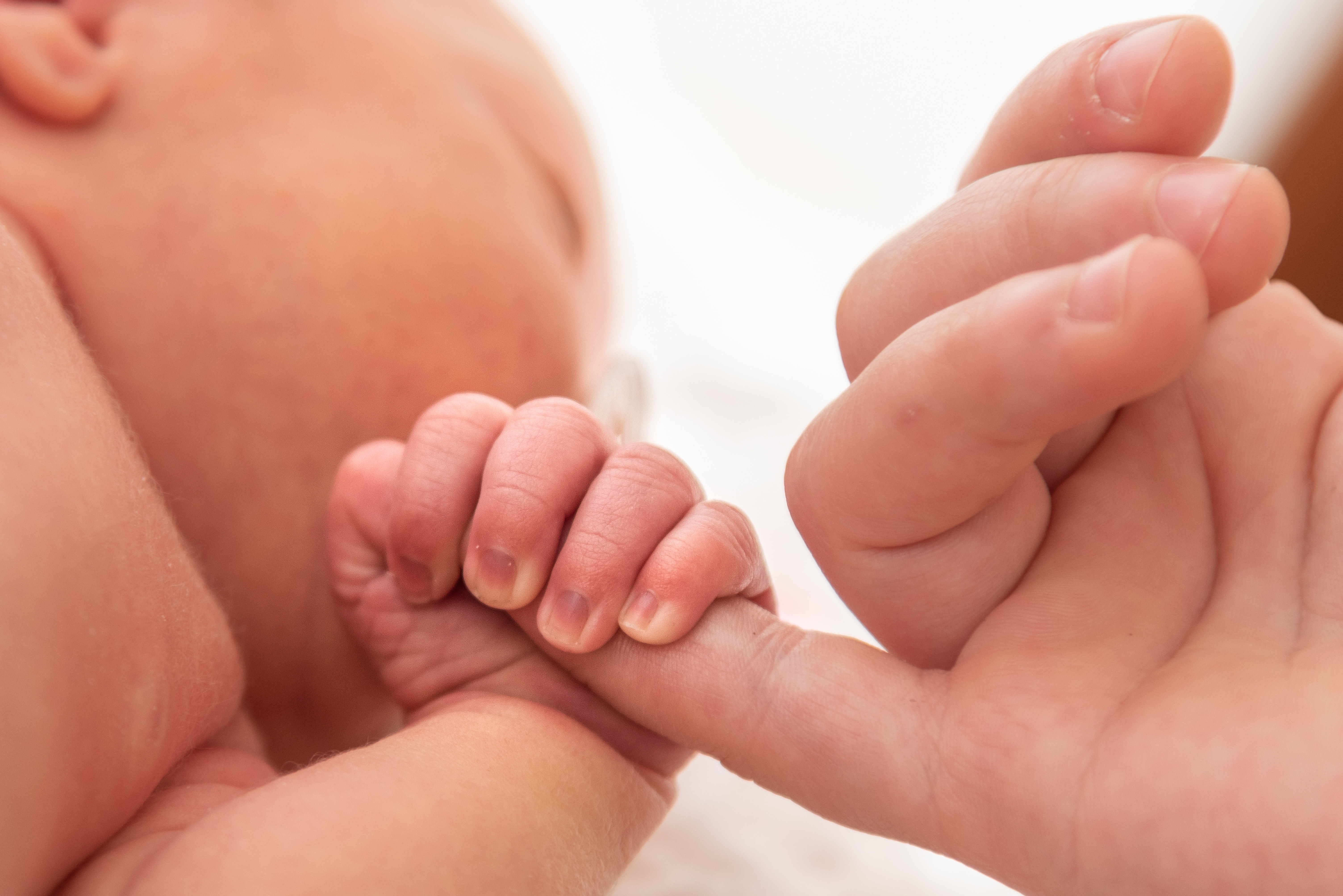 Ministrul Muncii: Programul naţional de fertilizare in vitro (FIV) va putea fi, în sfârşit, finanţat din fonduri europene