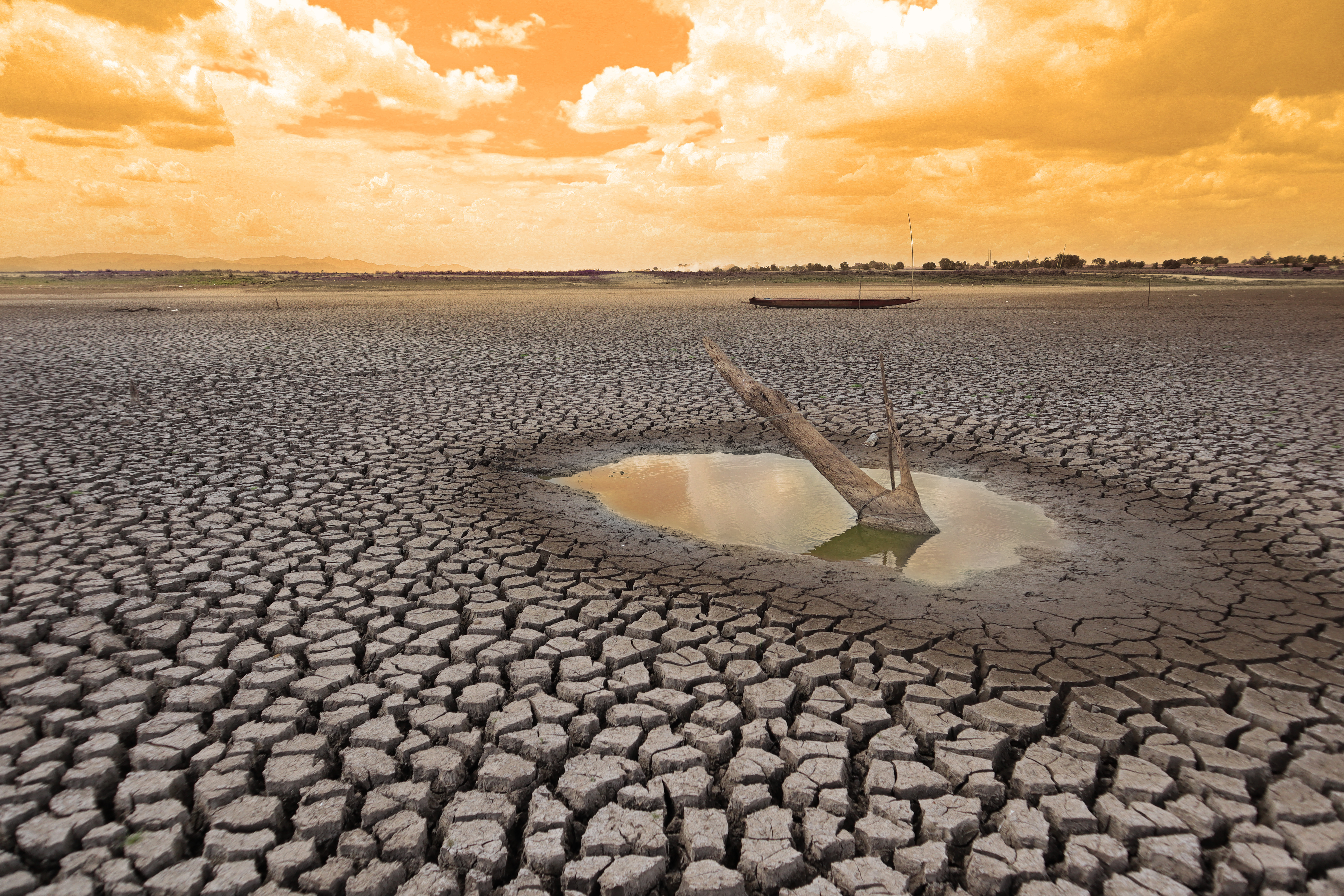 El Nino, curentul care a pârjolit întreaga planetă, a dispărut. Acum, este în curs de formare La Nina. Ce va urma