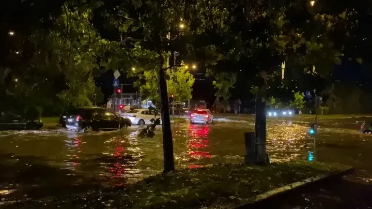 Dezastrul produs de furtună în București. 60 de copaci au căzut, 107 străzi au fost inundate, 208 locuințe afectate