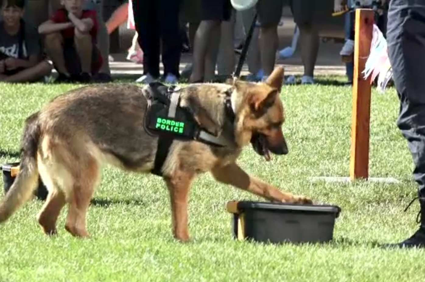 Iubitorii de animale și-au dat întâlnire în Iași. Câinii polițiști au fost vedetele evenimentului