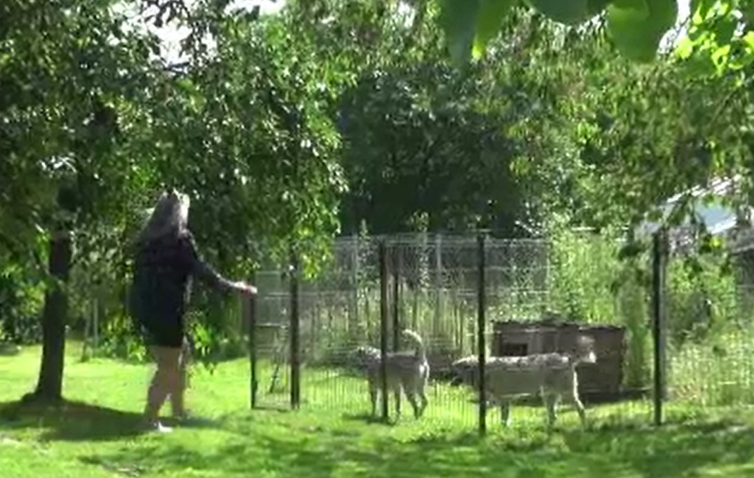 Noua meserie care ia amploare în România. Tot mai mulți străini fac asta la noi în țară