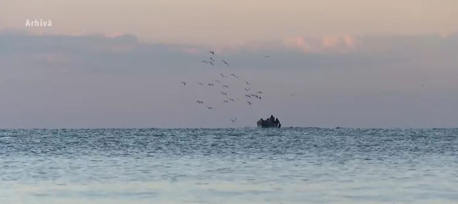 Alerta Autorității Sanitar Veterinare din Marea Neagră a fost ridicată. Analizele indicau un risc mare de toxicitate