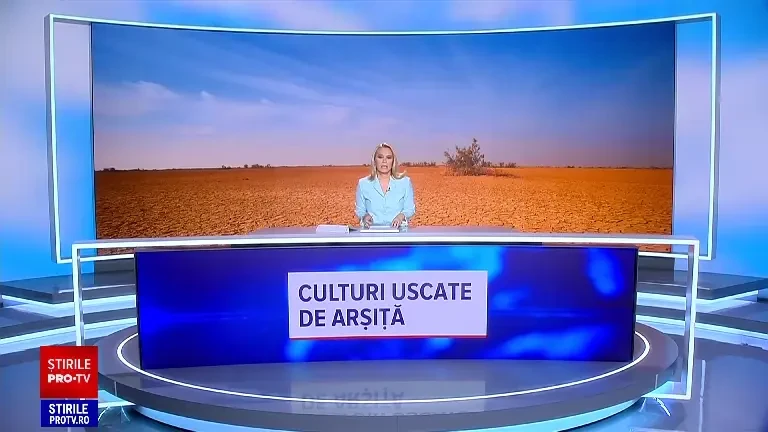 An atipic pentru agricultori. În timp ce unora li s-au copt spicele de grâu și orz mai devreme, la alții suflă vântul