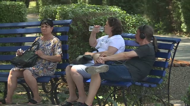 Un val de aer tropical, din nordul Africii, topește totul în cale în țara noastră. Capota unei mașini a atins 70 de grade