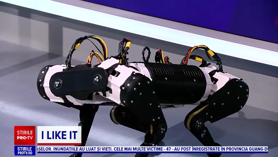 Un elev din Cluj a creat un câine-robot care seamă cu celebrul Spot, de la Boston Dynamics