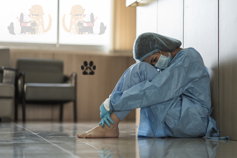 (P) Strategii de combatere a gândirii negative în rândul veterinarilor