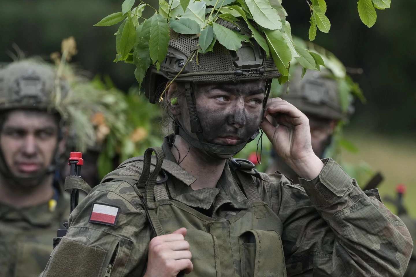 Polonia, voluntari, armata, soldati