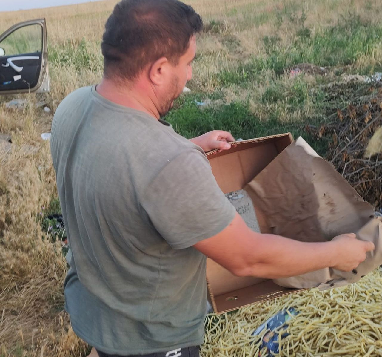 Un fermier din Dolj și-a aruncat recolta de fasole, sătul de samsari: ”Să produc cu 5 lei și să vând cu 3? Mai bine o arunc”