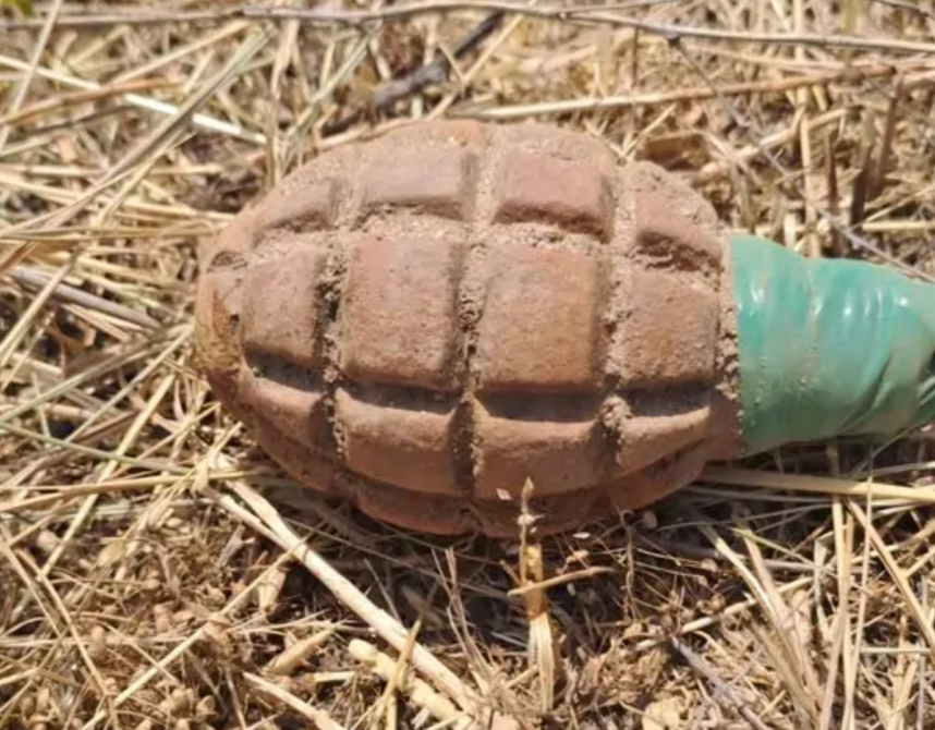 Un bărbat din Giurgiu a găsit o grenadă defensivă şi a dus-o cu mașina până acasă