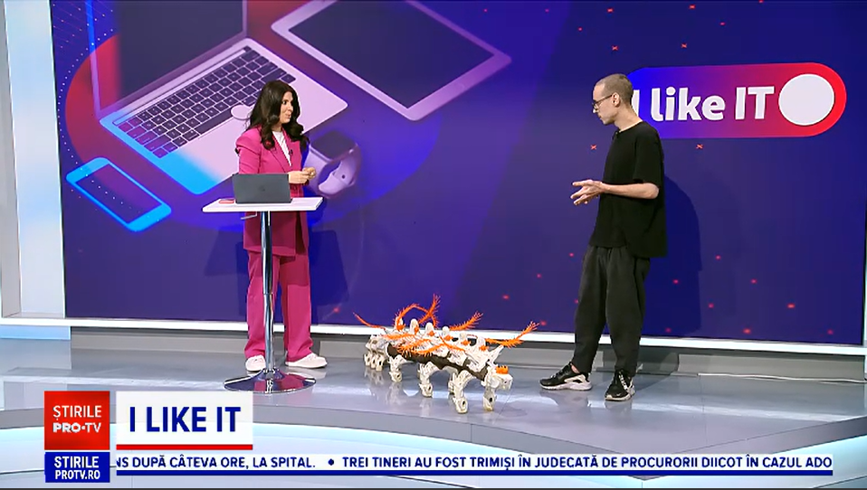 Bușteanul transformat în artă. Sculptură de new media art, care îmbină elementele naturale cu cele printate 3D