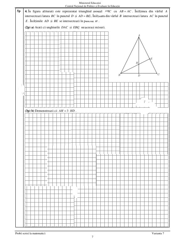 Subiecte matematica evaluare nationala