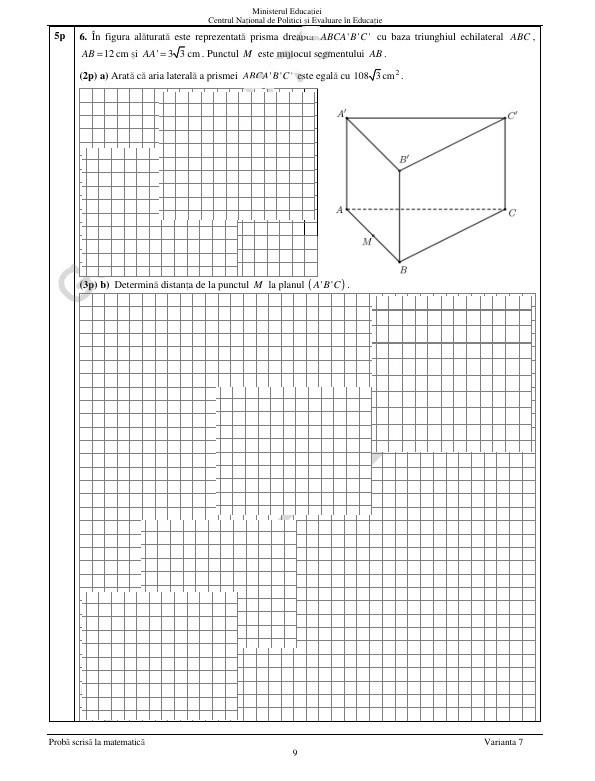 Subiecte matematica evaluare nationala