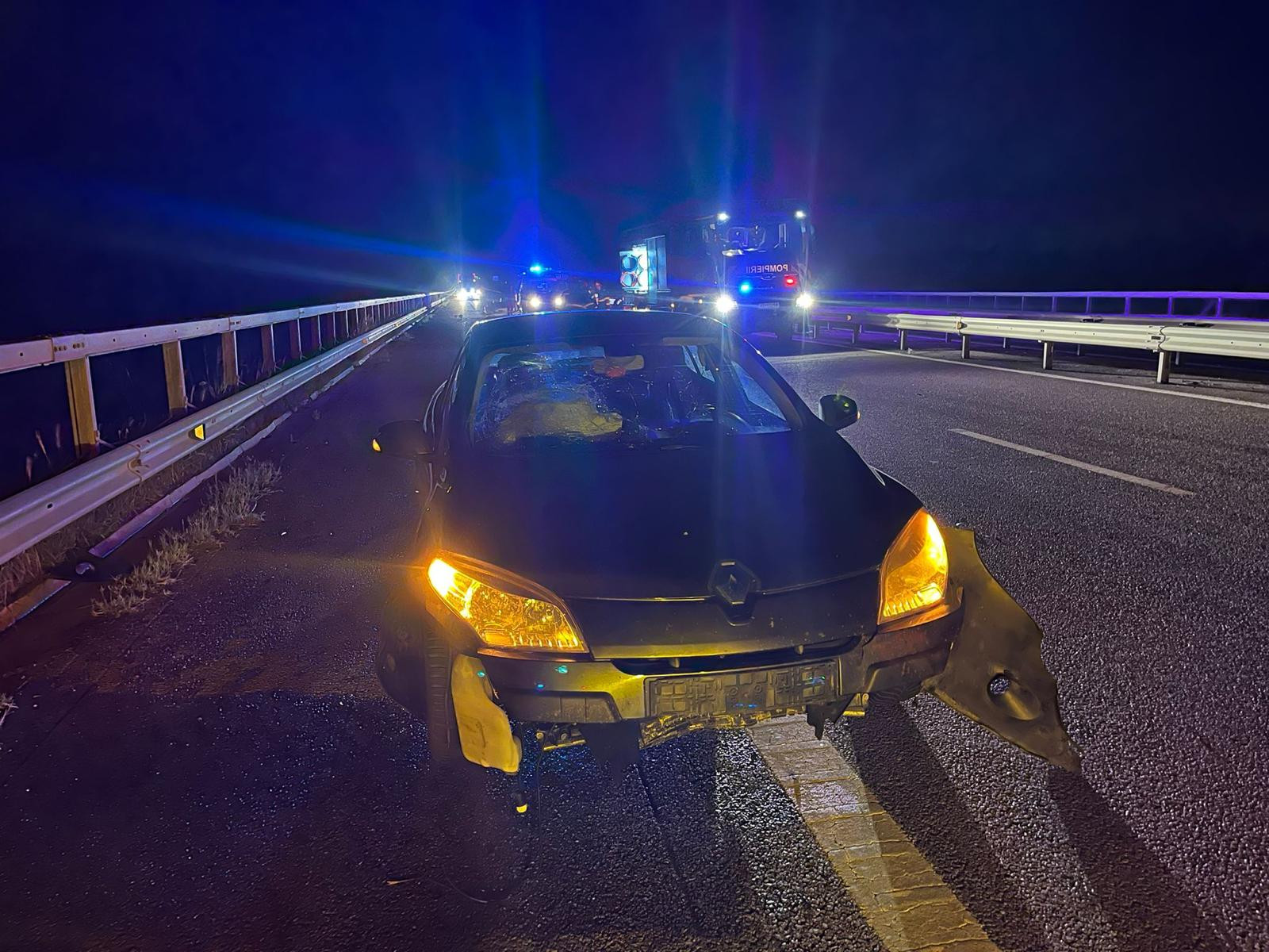Accident provocat de o vacă pe Autostrada A3. Animalul a fost lovit de două mașini