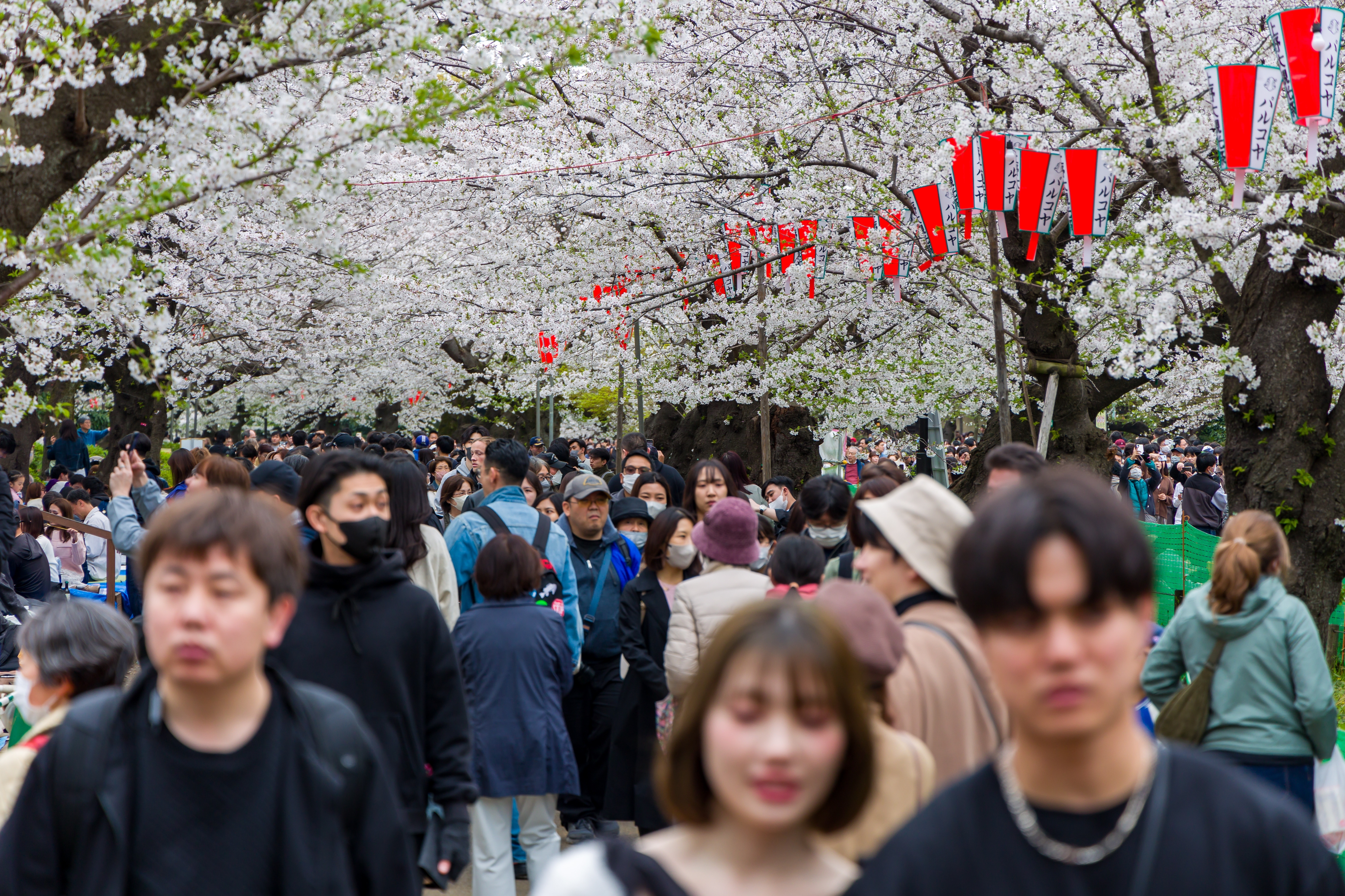 O nouă practică bizară face furori în Coreea de Sud. Oamenii se închid singuri în cameră. Care este scopul experimentului