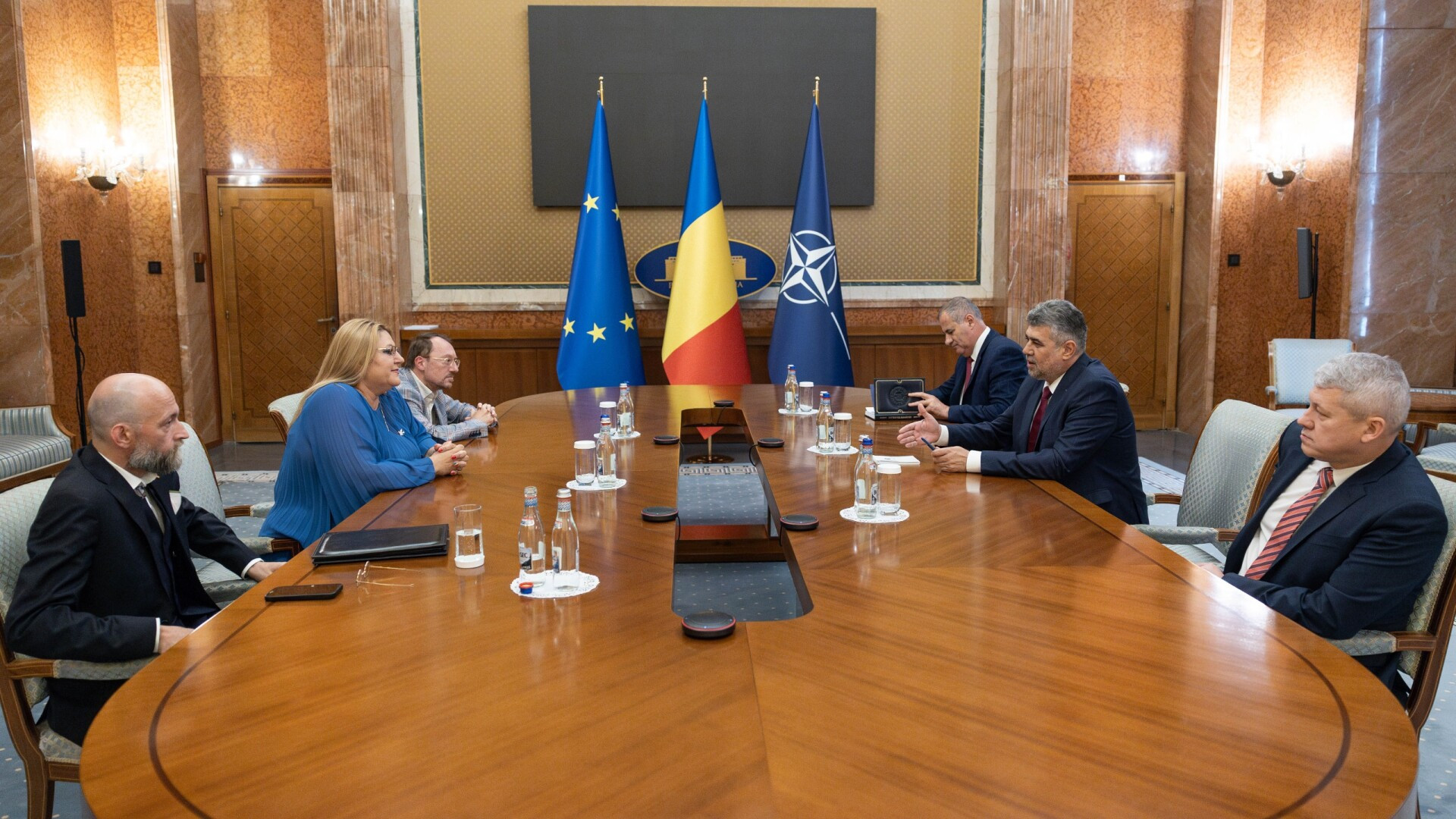 Diana Șoșoaca, Guvern