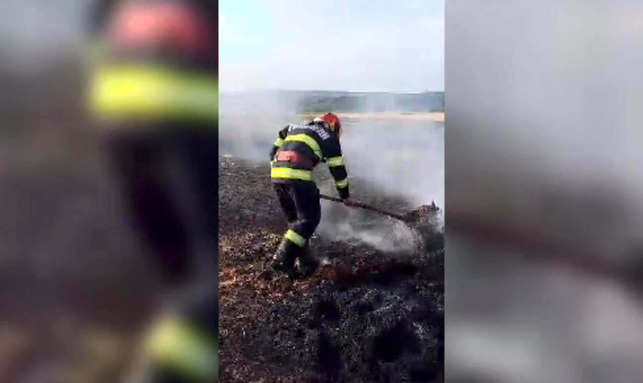 Un agricultor din Botoșani a rămas fără toată cultura de grâu. Un incendiu a mistuit-o, împreună cu un utilaj