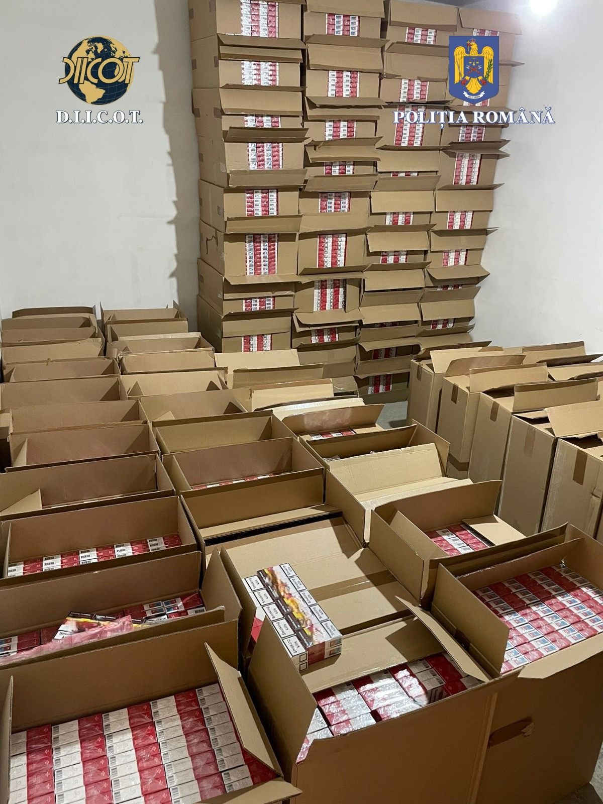 Descoperire de peste 750.000 de euro în Caraş-Severin. Ce au găsit polițiștii la locuința a două persoane | FOTO