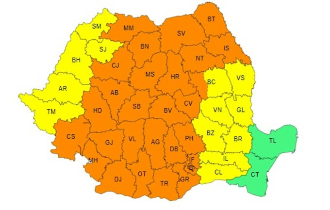 Furtună în București. Mai mulți copaci au fost doborâți de vântul puternic