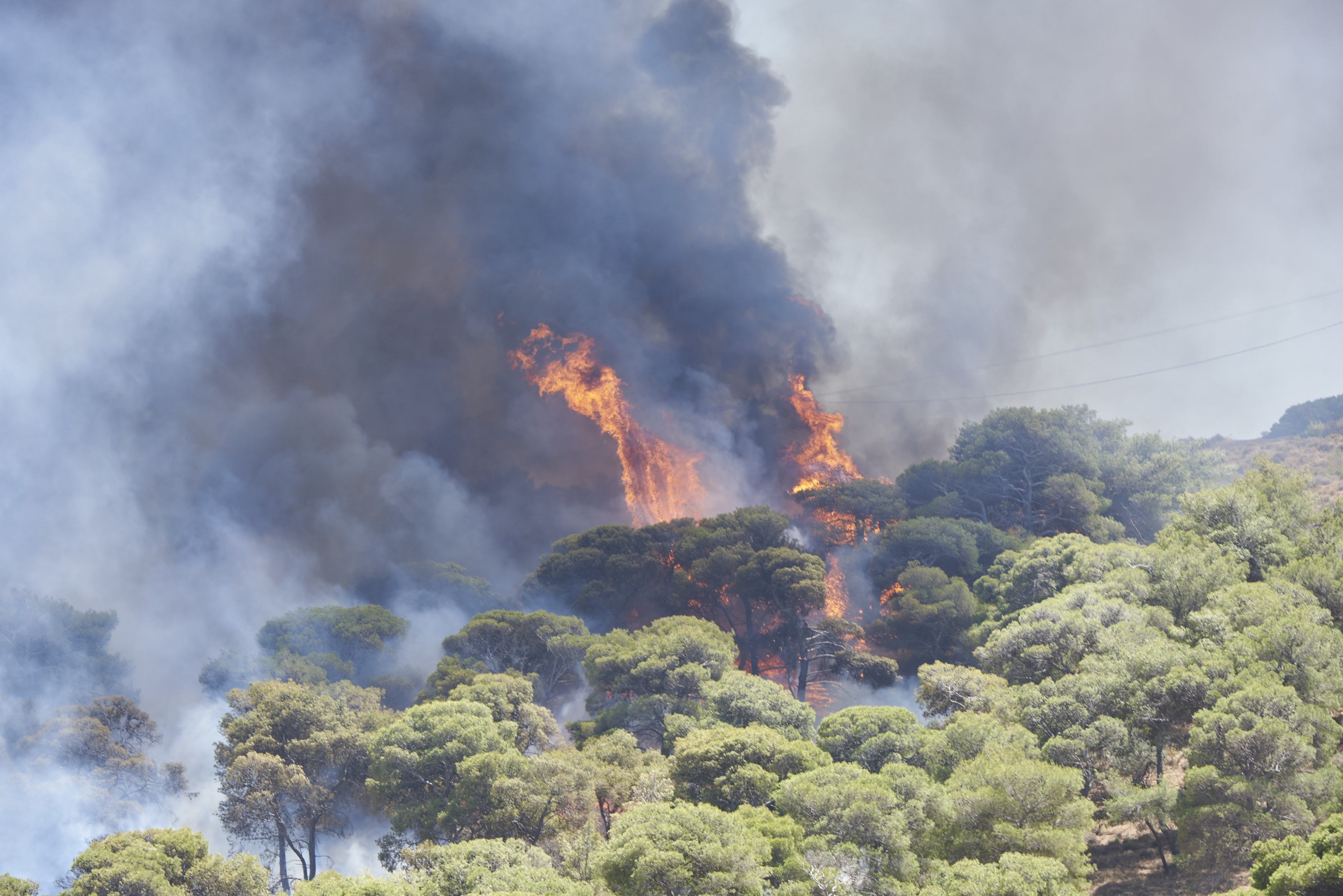Scene apocaliptice în Grecia. Premierul avertizează că incendiile din această vară ar putea fi „deosebit de periculoase" FOTO