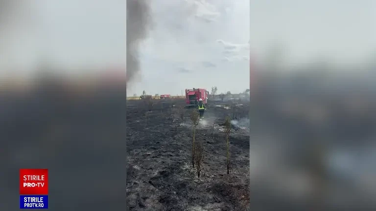Incendiu de vegetație uscată în Popești-Leordeni. Flăcările s-au extins la o locuință