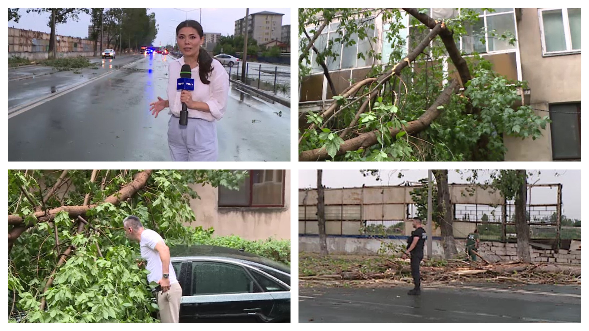 Așa arată dezastrul. Copaci căzuți, mașini distruse și oameni răniți în București, după o furtună violentă